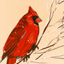 Cardinal Finch