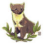 Pine Martin - Sketch