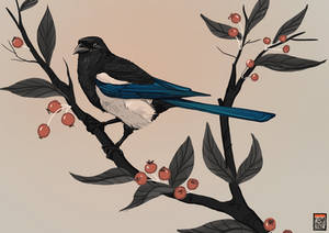 Magpie for themothworks