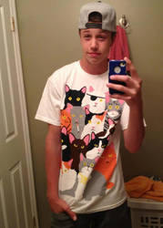 Kitties Guy Chase O-o