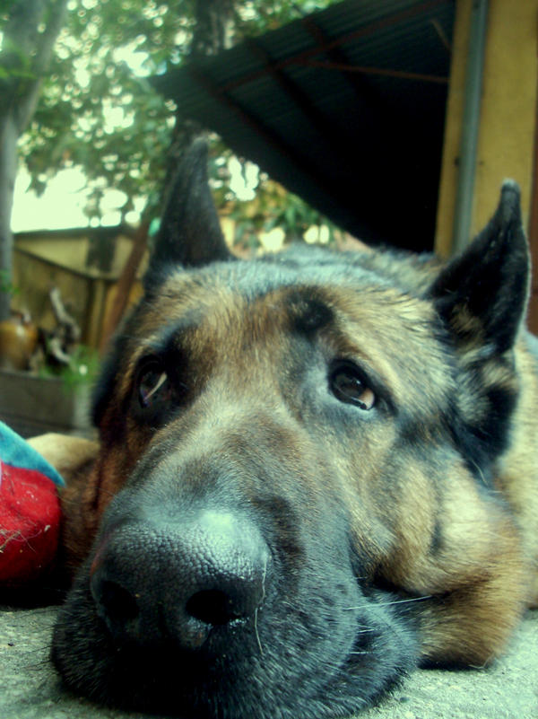 Ugolino by youaremyvanillasky on DeviantArt