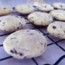 Lavender Vanilla Bean Cookies