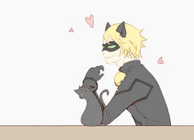 Chat Noir2