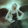 Dark Angel