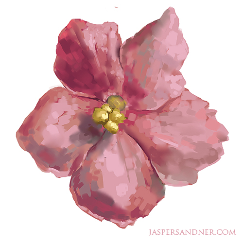 Single Flower Study