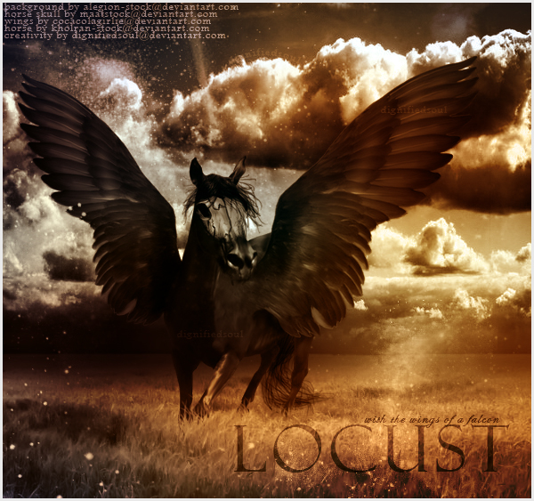 Locust