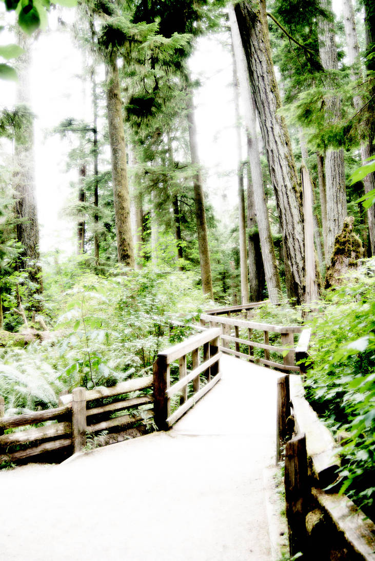 The Path Less Traveled by BunnyFromMars on DeviantArt