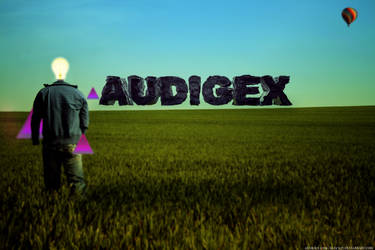 AUDIGEX