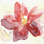 Watercolor Flower