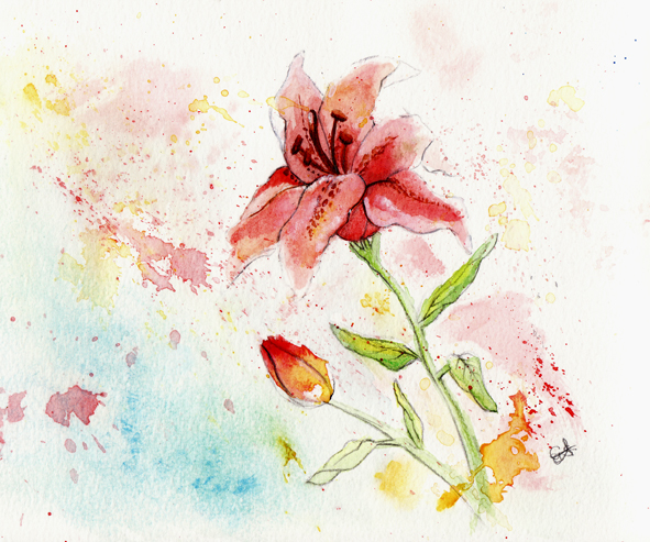 Watercolor