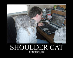 Shoulder Cat