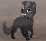 Black Star as a dog by AshtheDragoness