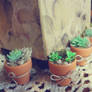 Miniature Clay Succulent Plants