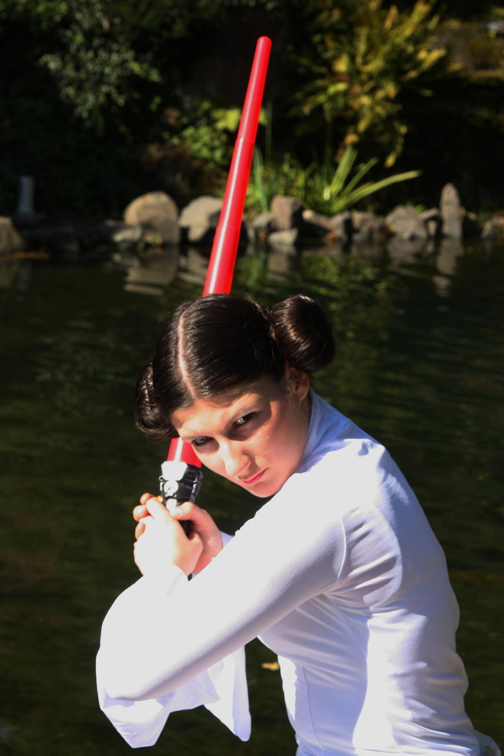 Princess Leia Organa 4