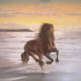 Horse-on-the-beach