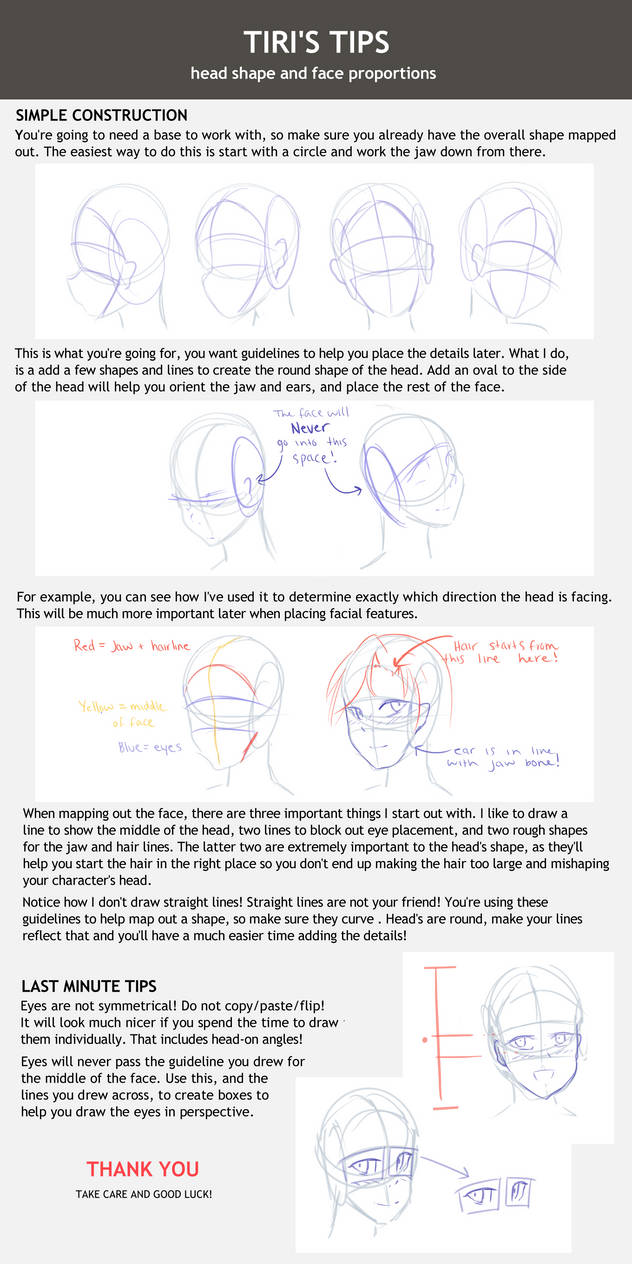 Head and face structure tutorial by Tiribrush on DeviantArt