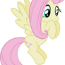 Fluttershy