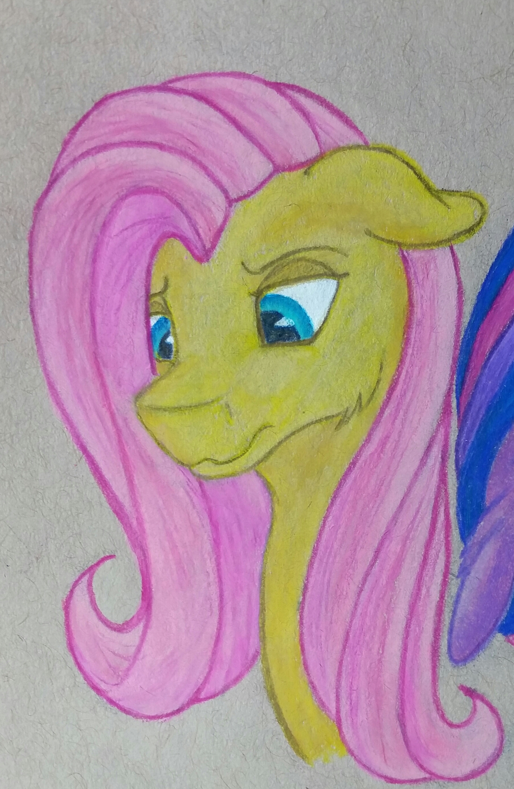 Fluttershy