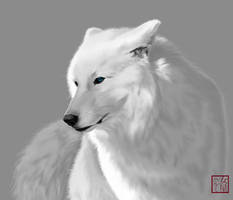 White Wolf