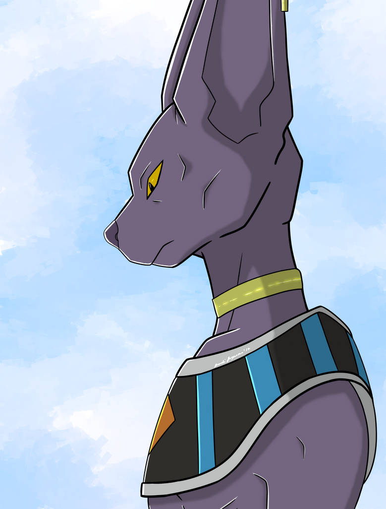 Lord Beerus/God of Destruction by ShadowDragon91 on DeviantArt