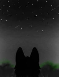Wolf looking at the stars