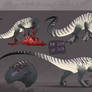 Raptor Adopt1 (to help cats)