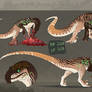 Raptor Adopt2 (to help cats)