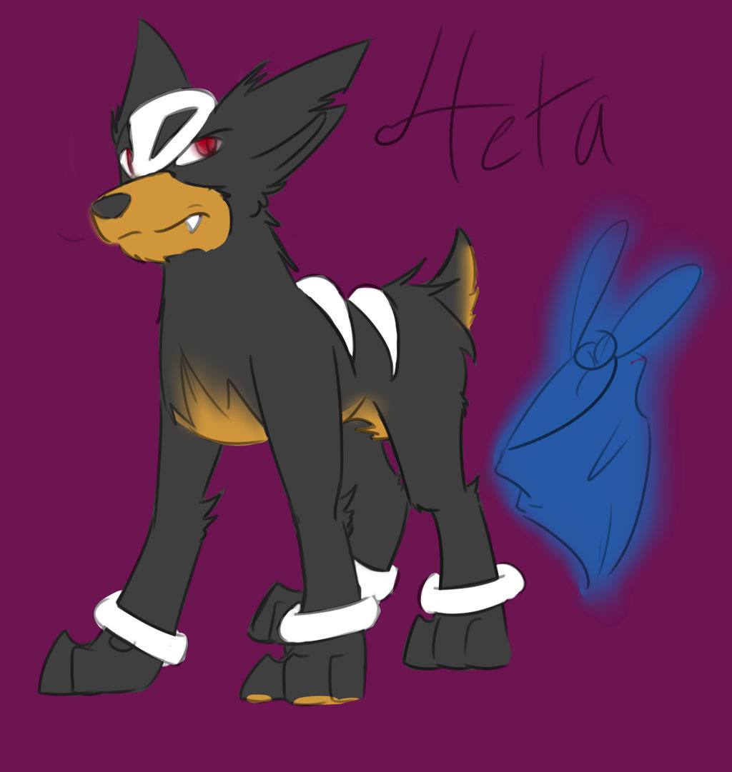 Pokemon Team Ace: Teammate Heta