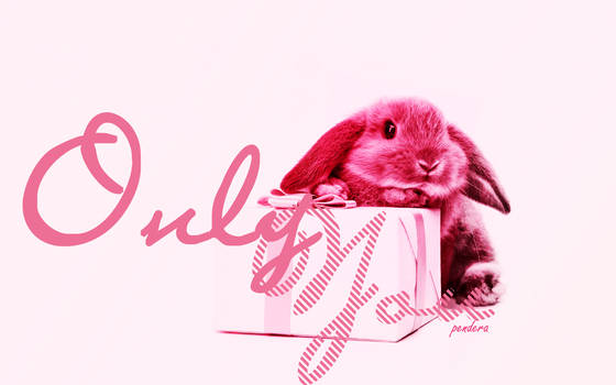 Pink rabbit