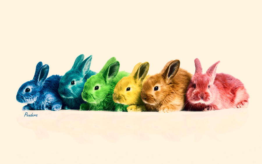 Smiling Rabbit Rainbow rainbow rabbits by jennyfeare on DeviantArt