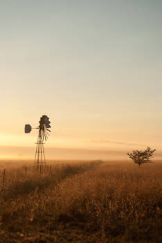 Early Mist Windmill