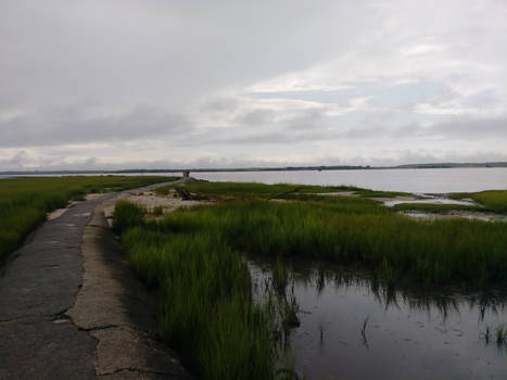 Fort Fisher