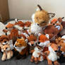 Fox variety on Fox Day