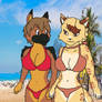 X mas gift 15 Hang out on beach
