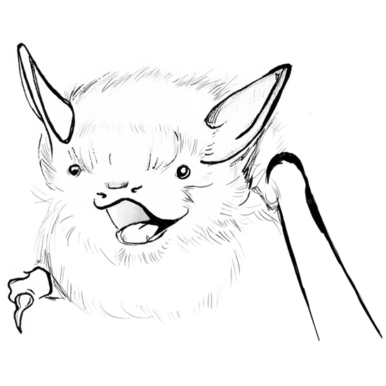 Happy Bat