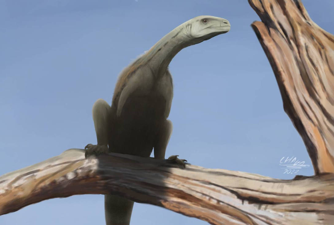 Vespersaurus paranaensis by paleochaga on DeviantArt