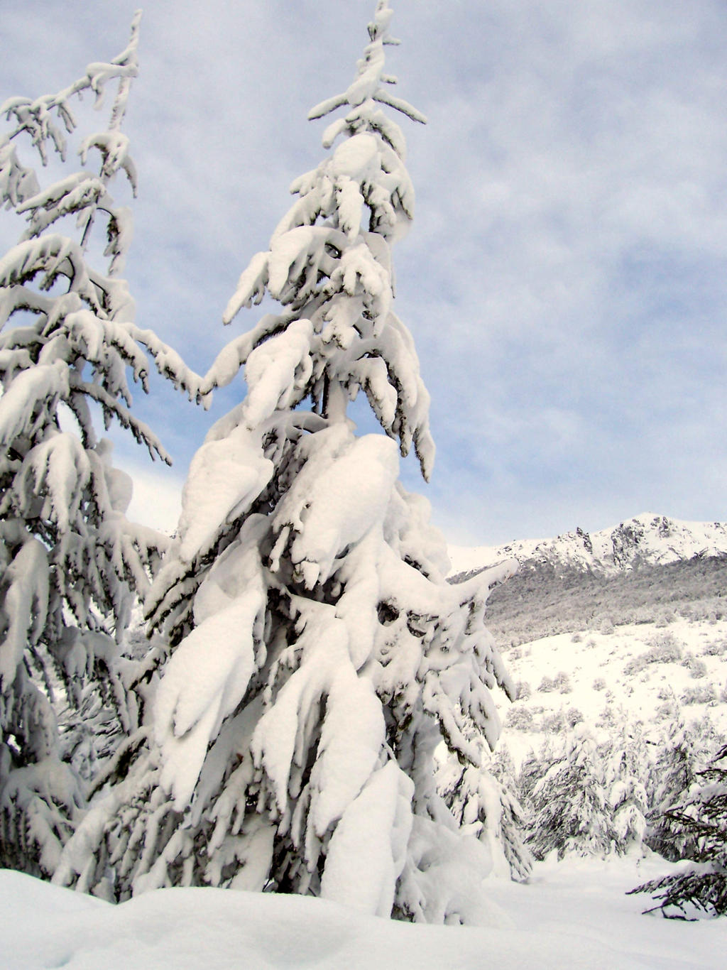 Snow - Bariloche 3