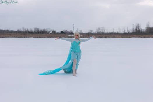 Elsa Cosplay