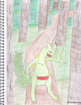 Sceptile in the Forest