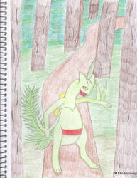 Sceptile in the Forest