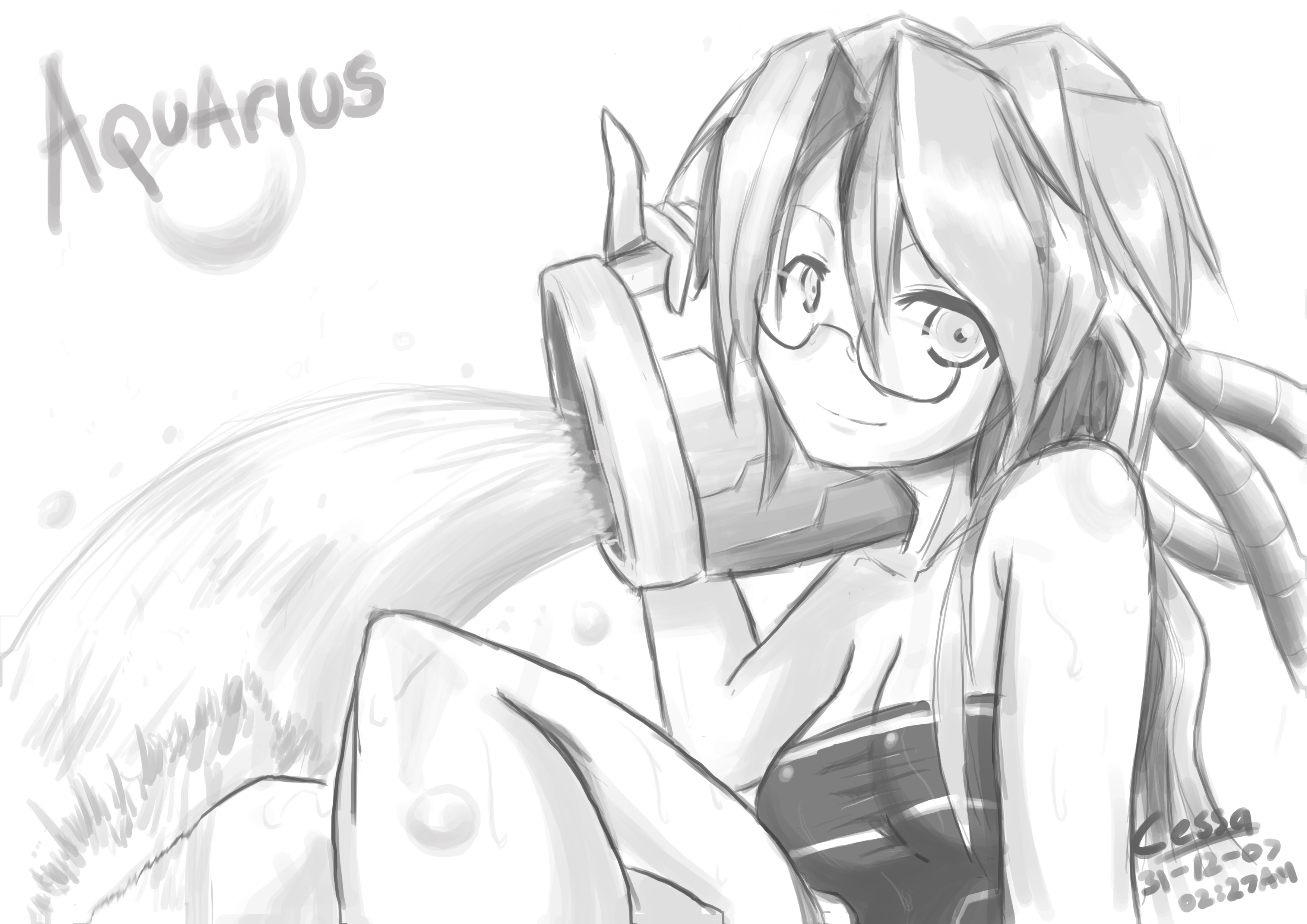 Last Pict Of 2007: Aquarius