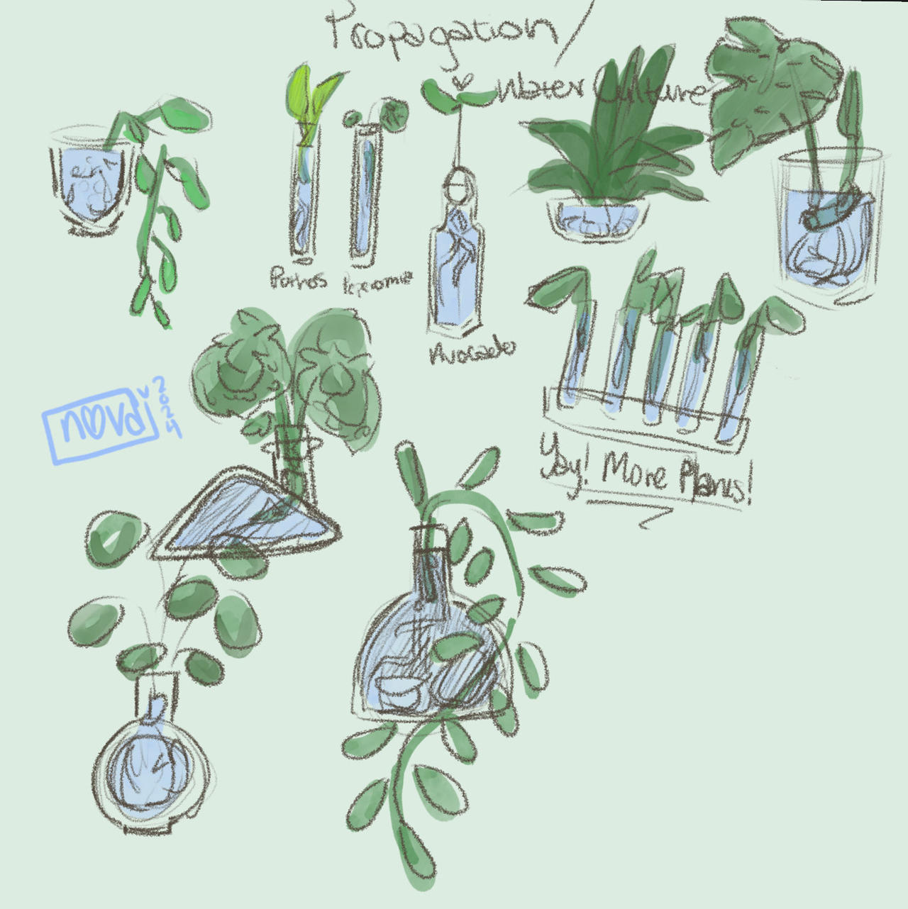 Plant Deviantart Old Plant Sketches by NebbyNova on DeviantArt