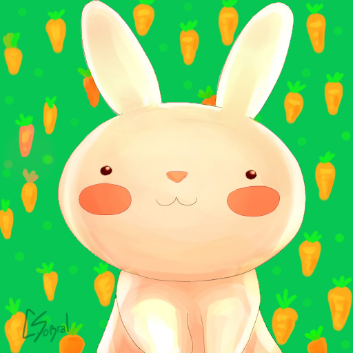 cute bunny