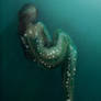 Eel in the Dark