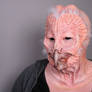 Old Owl (SFX FINAL)