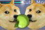 an apple a day keeps the doges away XDDDDD