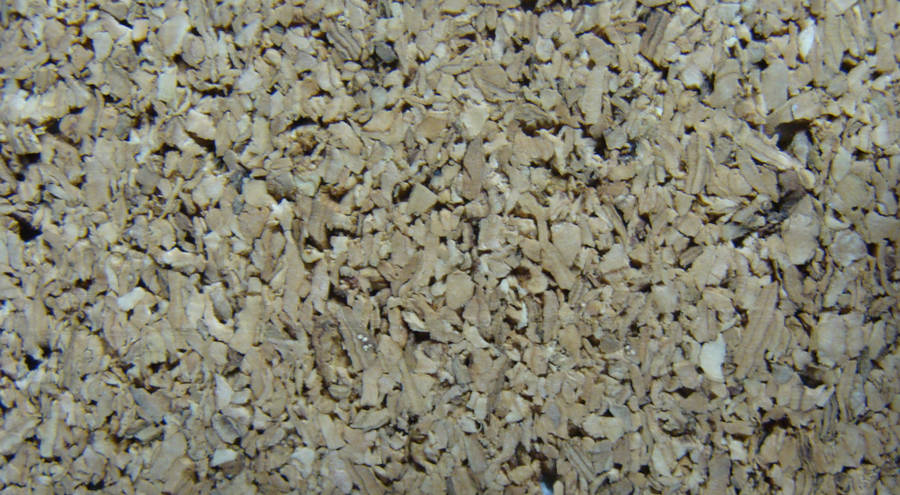 Cork5 by Manwathiell-Stock