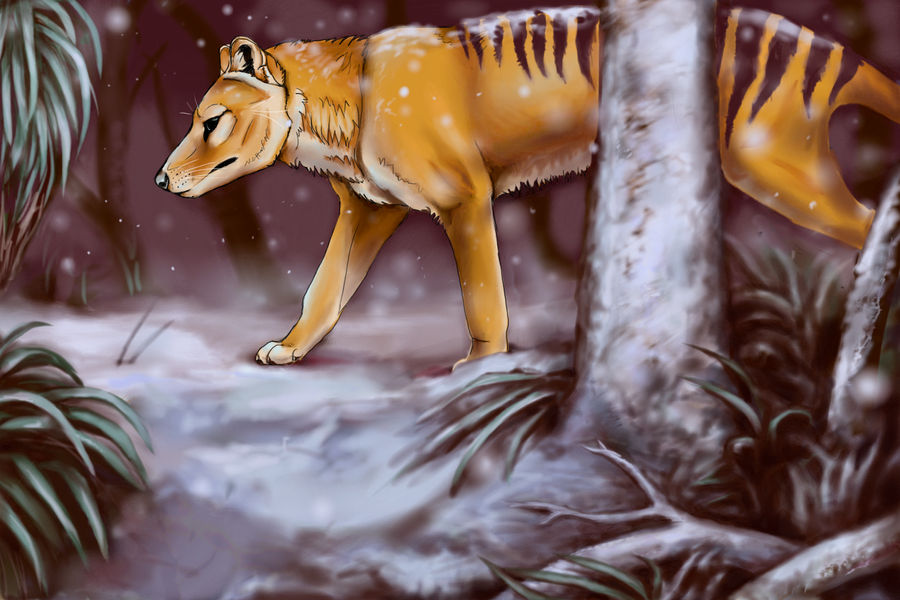 Thylacine WIP