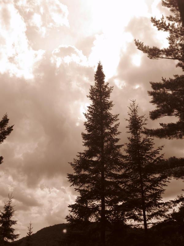Sepia Sky by JayJay4 on DeviantArt