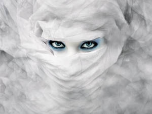 White Rose